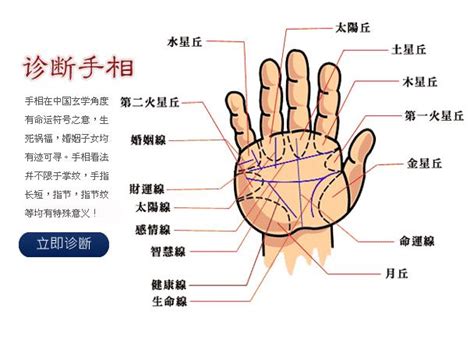 掌紋分析app